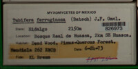 Image Associated With the Occurence